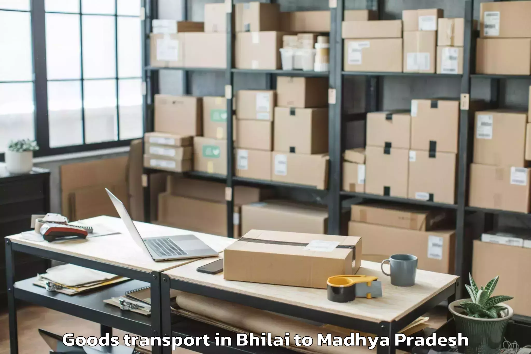 Book Bhilai to Dhamnod Goods Transport Online